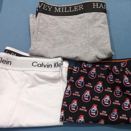 Boxer 8