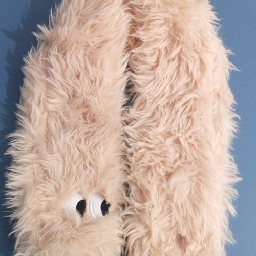 Kids  Muffler