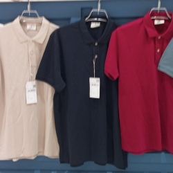 Mens Polo Springfield